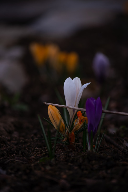 IMG-ae43eabed69e5eb73a9f5d395c619c72-V