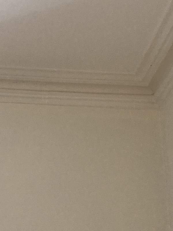 IMG-3527.jpg