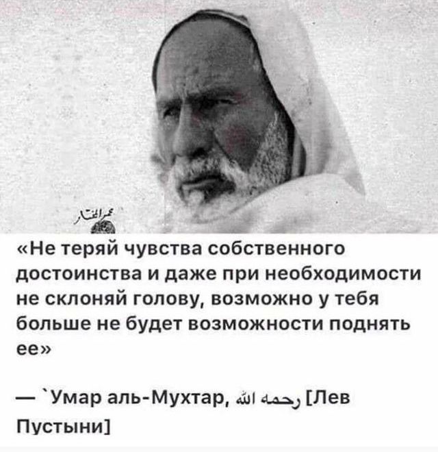 [Изображение: 31882d519fca07bf9d8d9e7437910ced.jpg]