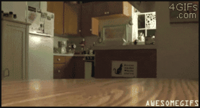 GIF-20250610-080106-654.gif