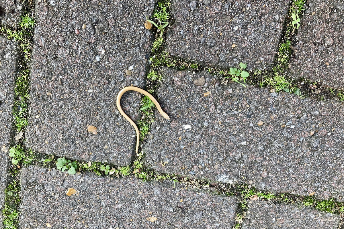 7923292F-8AF7-4A8D-BE5C-422520A3F93F