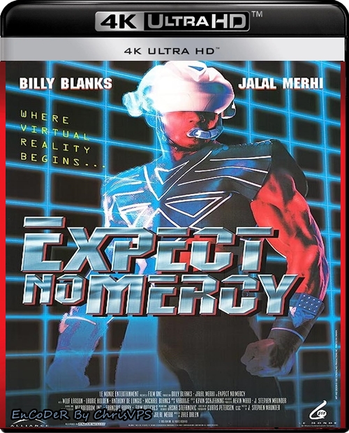 Bezlitosny / Expect No Mercy (1995) MULTI.AI.REMASTERED.SDR.UP.2160p.WEB.DL.AC3.2.0-ChrisVPS / LEKTOR i NAPISY