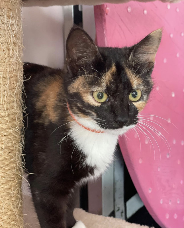 B37A10AF-4B01-4B59-BE12-BD55484638A9