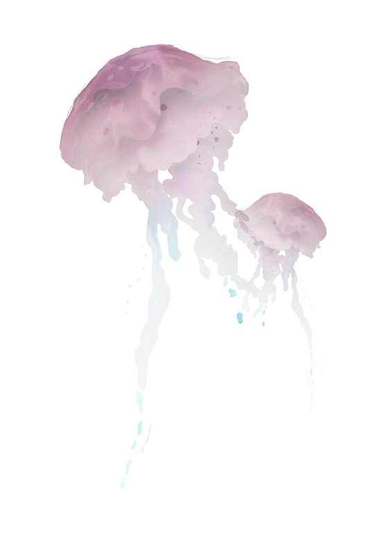 e129_ks