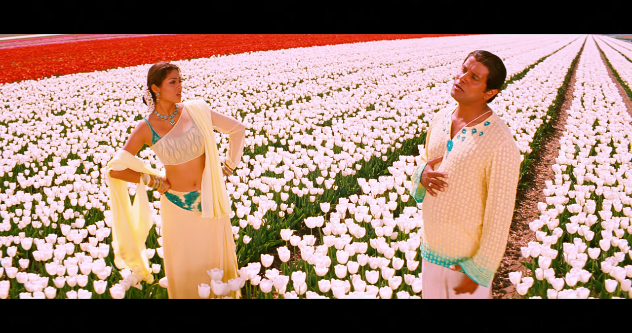 VideoCapture_20241122-195635