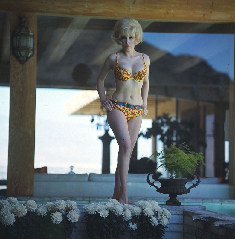 Stella_Stevens_b66