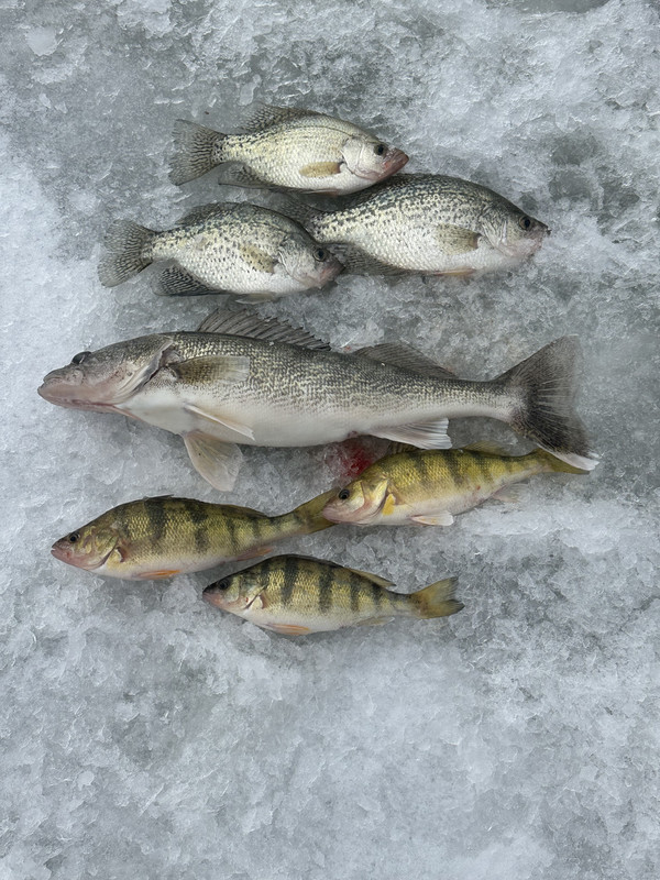 6F872A5C-D3F3-4DD5-86CE-1BB288A7E9CB