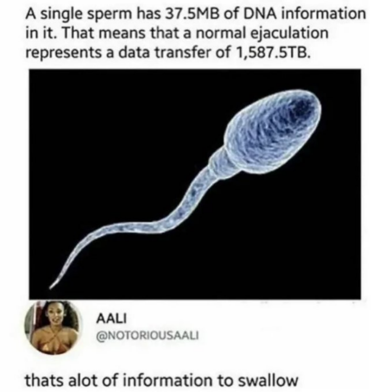 Screenshot 2026 07 22 at 06 10 13 Post a MEME Thread Page 5886 Yellow Bullet Forums