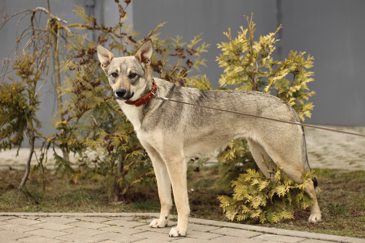 AAB47B95-1ACB-4C32-B1B0-9E95BF0C8B1B