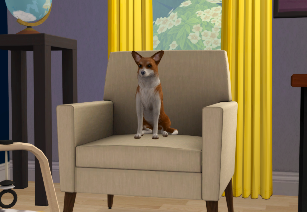 Sims2-EP9-RPC-2021-09-06-20-42-15-34