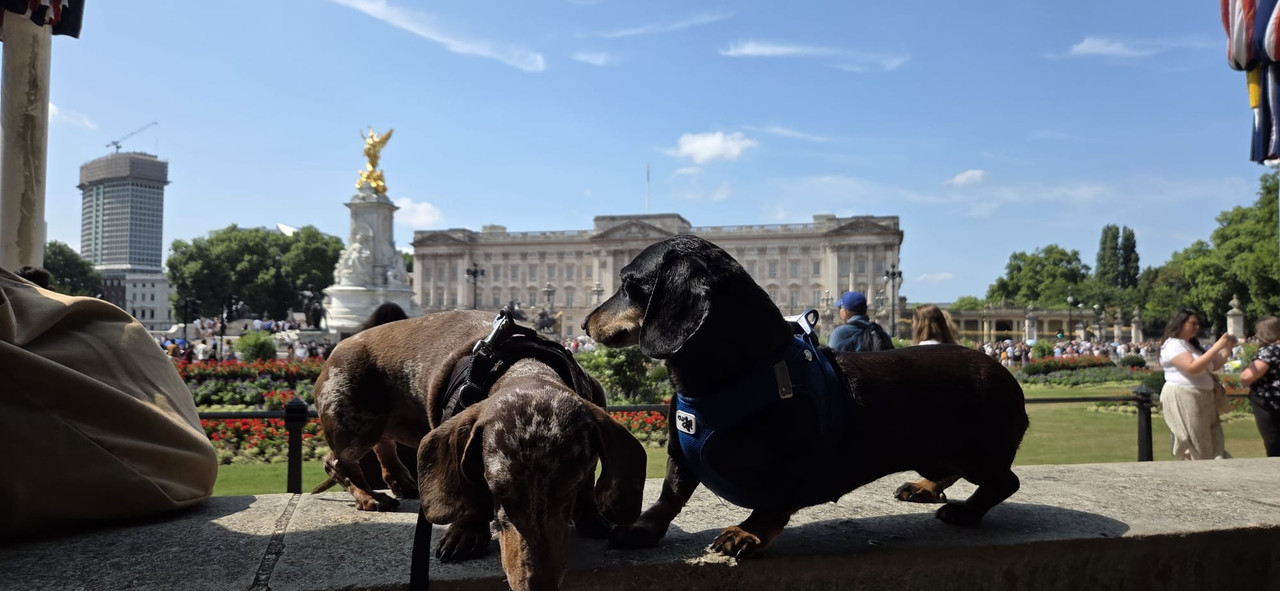 [Image: IMG-20250718-WA0006.jpg]