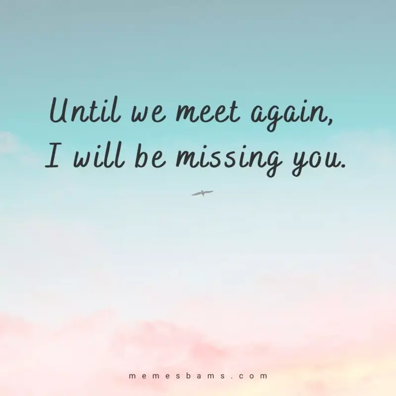 I-miss-you-until-we-meet-again