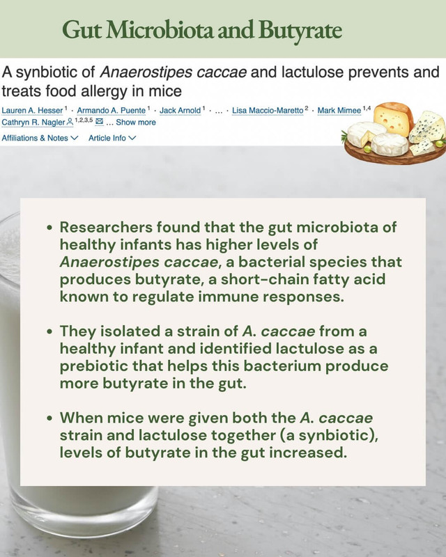 Butyrate has a wide range of beneficial effects in the body especially in relation to suppor