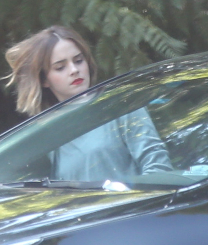 watsonuncensored.blogspot.com (5)