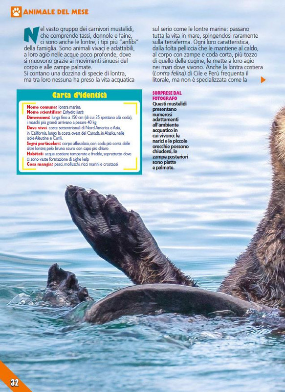 Foc Wil - Mag 2023 (3)