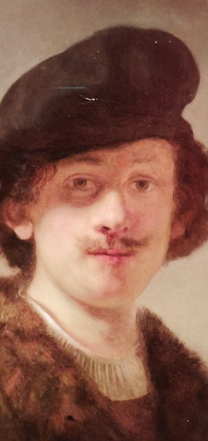 Escapada por Amsterdam - La Haya - Delft - Rotterdam - Leiden - Londres - Blogs de Europa - Museo Mauritshuis, decepcionante Depot Boijmans y callejeo por Delft y Leiden (166)