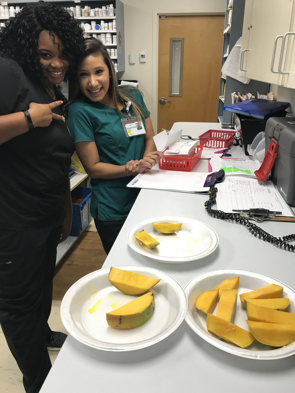 8C6D517E-8B07-4305-93F9-9C4FFC41999F