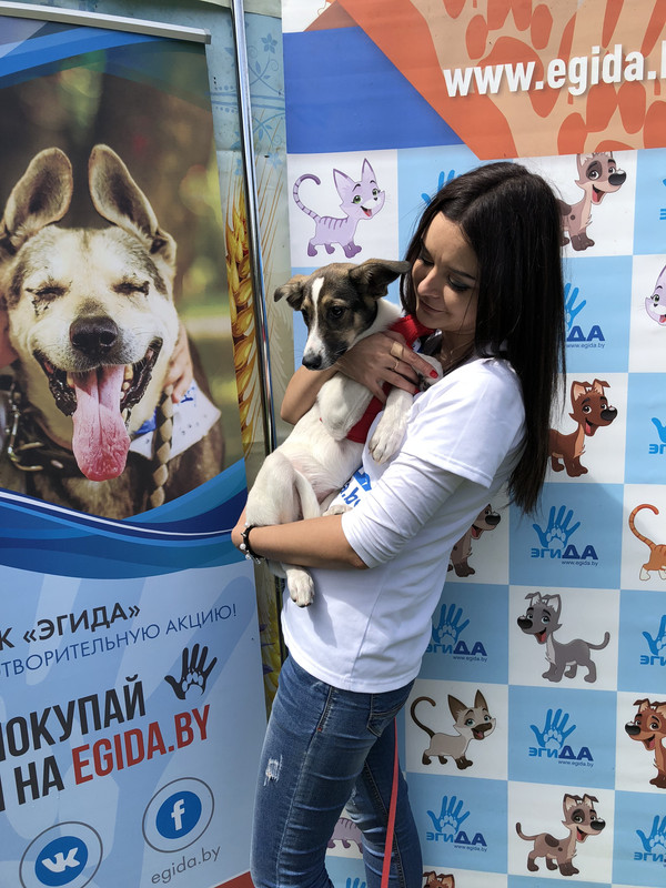 9FD0C15F-F9CC-4060-A7D7-95E0263CC9E9