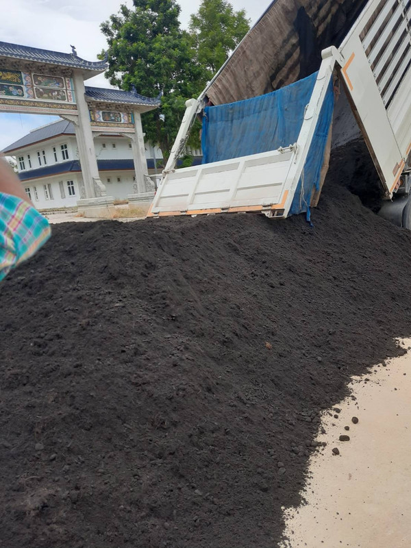 ดินปลูก_๒๐๐๙๒๕_4