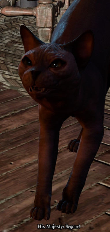 Screenshot 2023-10-22 202211