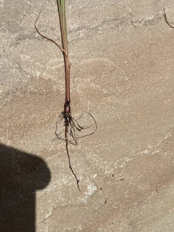 E95FA40E-3FC2-4688-8175-AF9C1B9B42FB