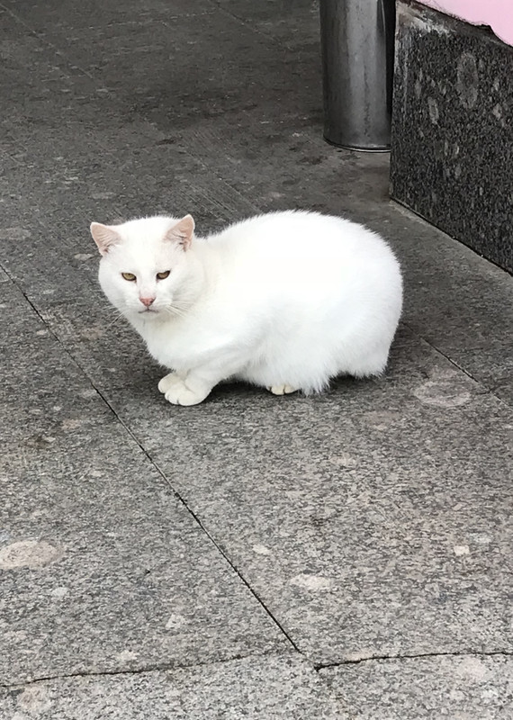 77B17731-99CD-4BB0-9EDB-A419DF66B3D9