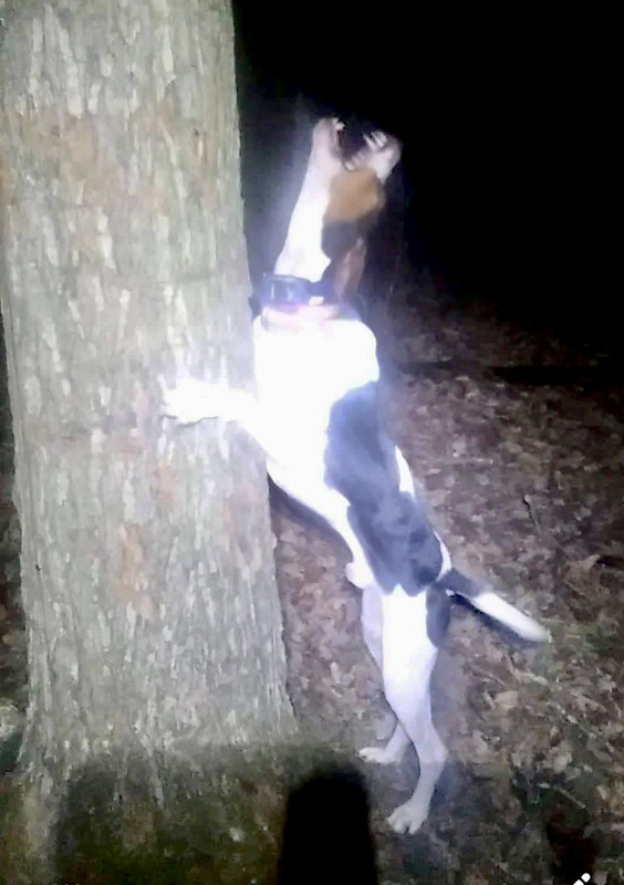 B51121F0-6DEA-482F-BDB3-5CAF357064E8