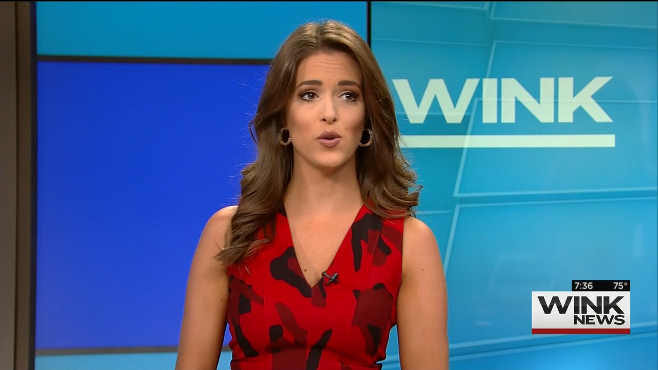 10.25 - 10.00.00 - WINK News @ 6 00AM Sunday..ts_snapshot_37.50.242