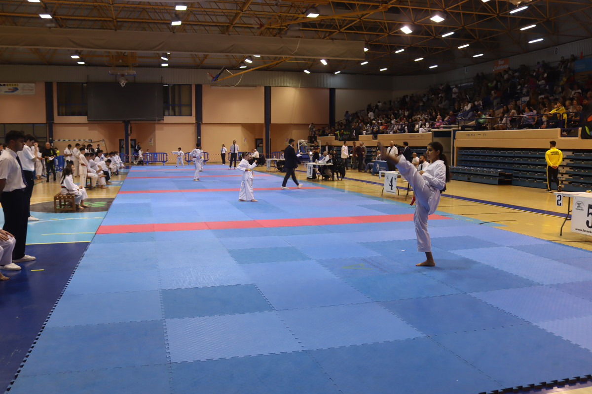 IMG-8530