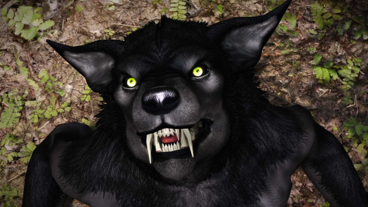 The_Elder_Scrolls_V__Skyrim_Special_Edit