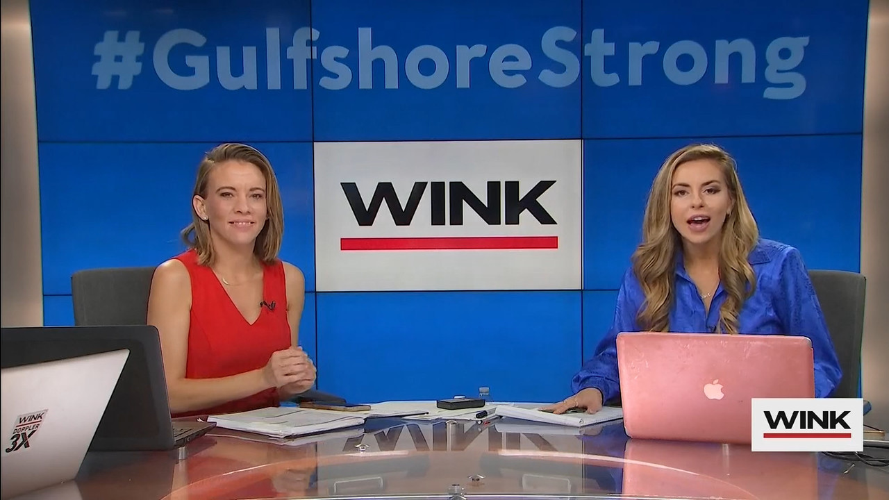 10.09 - 13.00.00 - WINK News at 8 00AM  ᴺᵉʷ..ts_snapshot_00.02.02.465