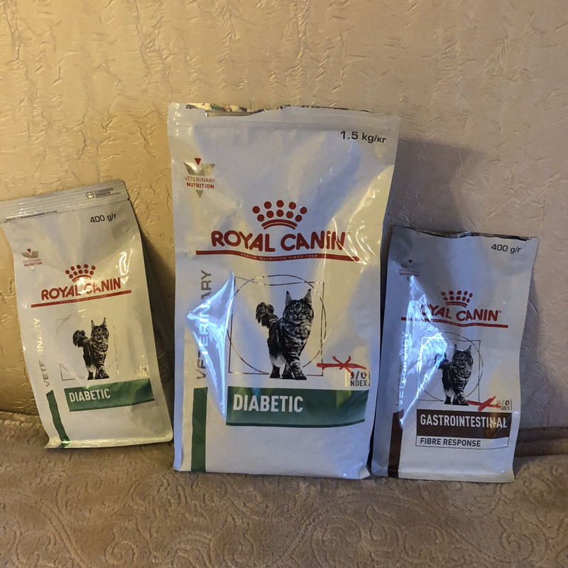 6BD631FE-FDD9-4A6B-B7E5-5A42B3EF750D