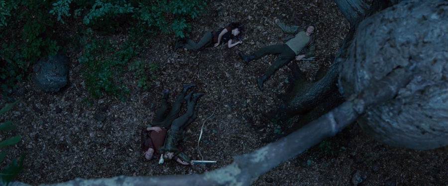 The Hunger Games 2012 BluRay [Hindi + Tamil + Telugu + English] 480p, 720p, 1080p ESub Screenshot