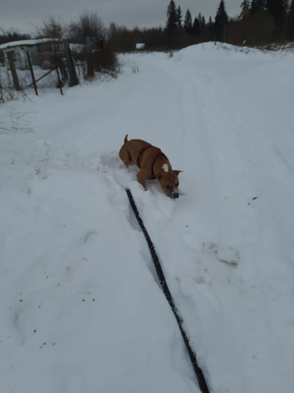 BE4567F5-4BE2-4222-8EBA-8308B23A1058