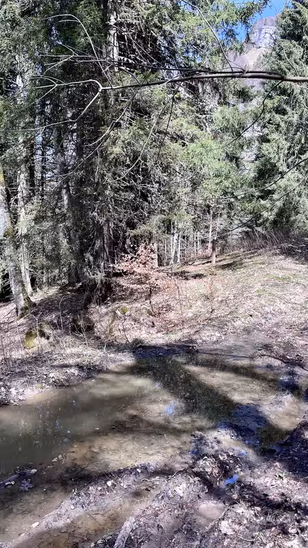 https://i.postimg.cc/jqJwgDgs/IMG-3079.avif