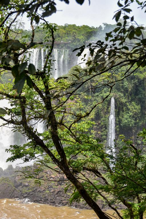 В джазе только девушки или аргентинско-бразильский калейдоскоп В джазе только девушки или аргентинско-бразильский калейдоскоп