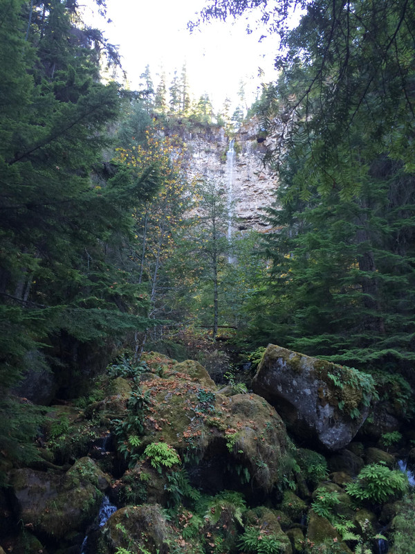 DC021900-979F-483D-8848-DEB11BAB0D85