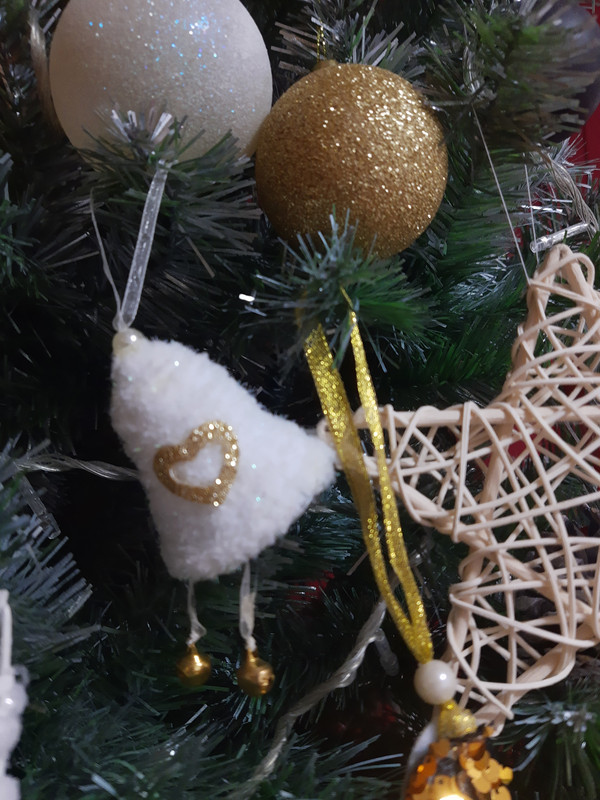 IMG_20221207_105226884