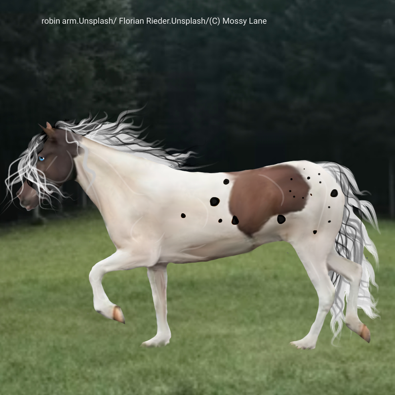 Untitled145-20220419164818.png