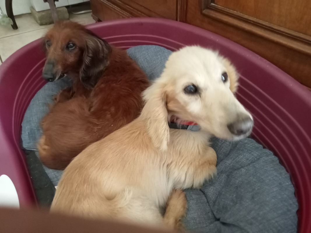 [Image: IMG-20240625-140559.jpg]