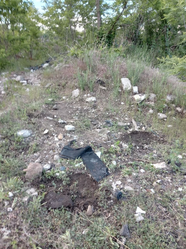 photo 2026 06 01 23 59 53
