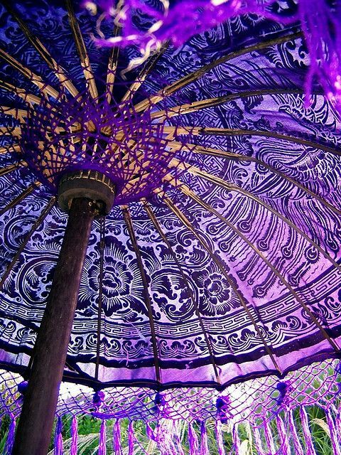 purpleumbrella.jpg
