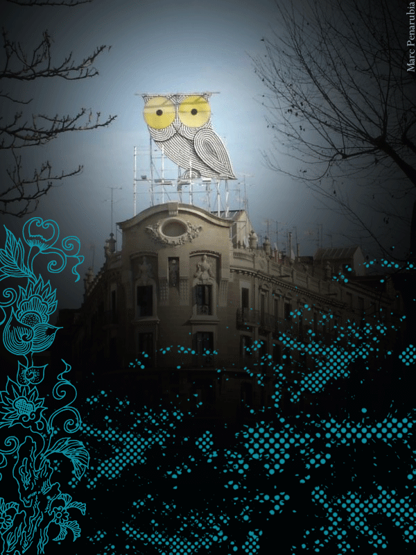 l 5d024af674094d3caab7995e5c1daa01