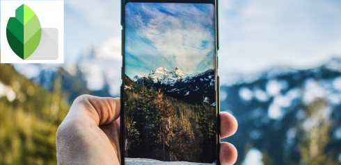 Mobile Photo Editing: Start Editing Like a Pro With Snapseed