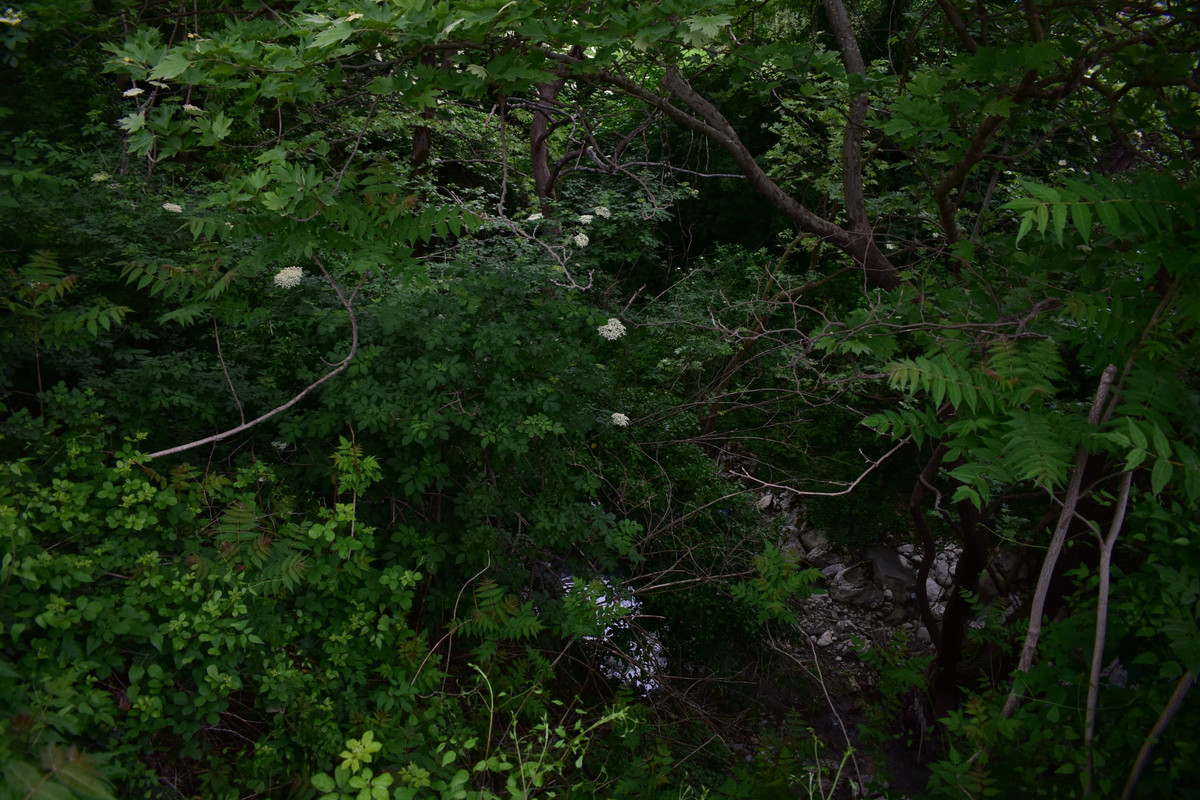 Αθαμάνιο (5)