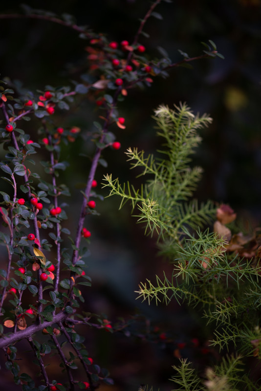 IMG-7977e3a06455bb8ece161e07aee66f62-V