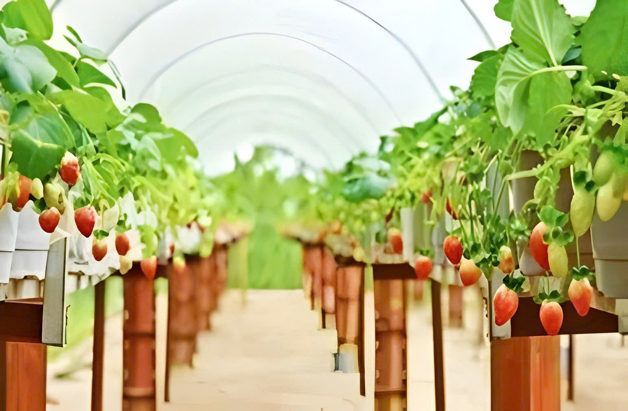 Địa điểm hot 6