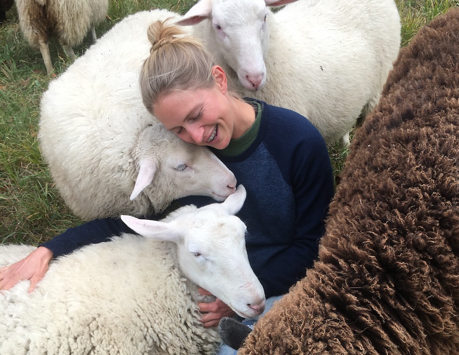 Stennie with her sheep