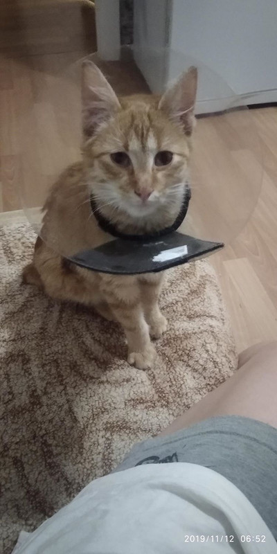 570B4563-422D-49A8-959F-F06316442301