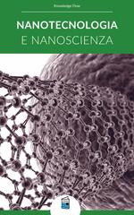 Knowledge Flow – Nanotecnologia e Nanoscienza (2026)